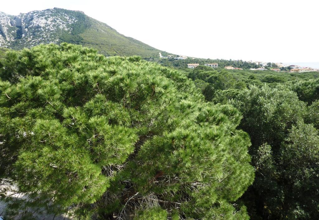 La Bouganville Apartments Cala Gonone Kültér fotó