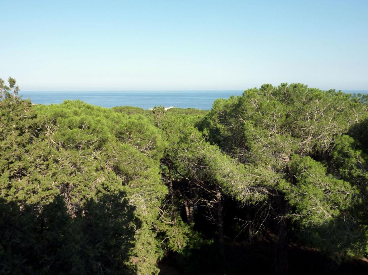 La Bouganville Apartments Cala Gonone Kültér fotó